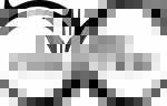 CLASSIC COLLECTION